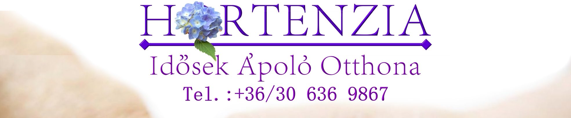 Hortenzia Idősek Ápoló Otthona