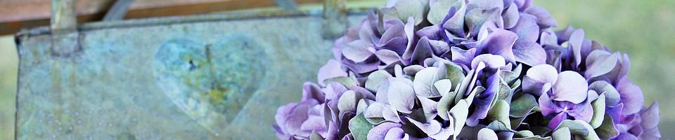 Hortenzia Idősek Ápoló Otthona